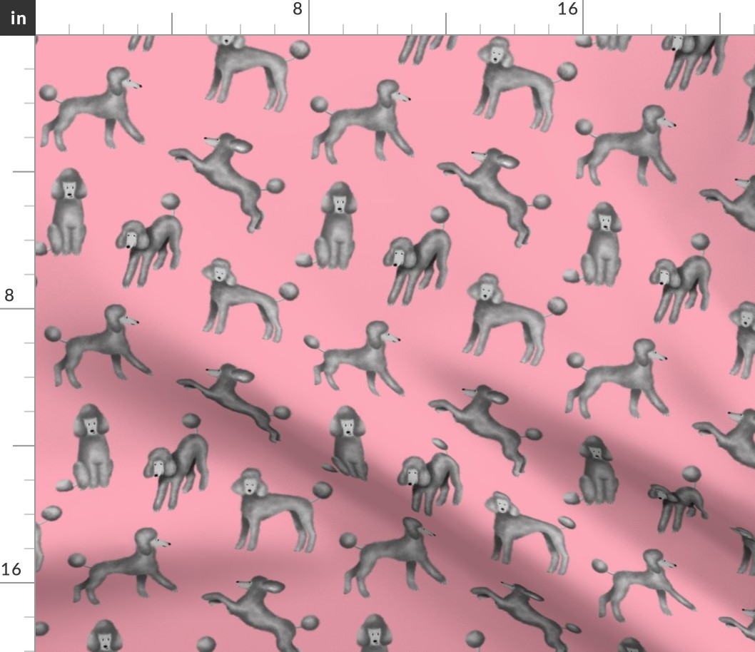 Grey Poodles on Pink Background