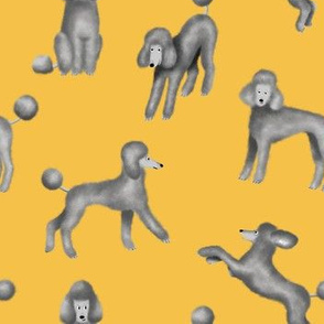 Grey Poodles on Yellow Background