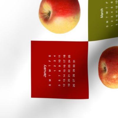 yummy apple 2020 calendar teatowel