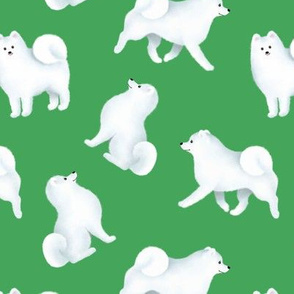 Samoyed Pattern (Green Background)