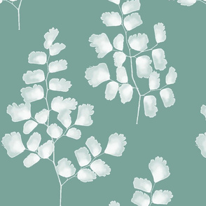 Maidenhair Ferns White On Eucalyptus