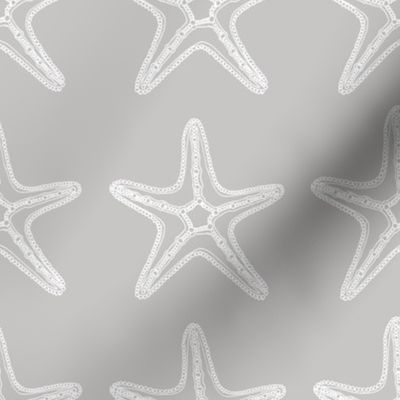 Sea Starfish Grey