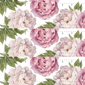 Height Charts // Pink Peony Height Chart Growth chart peonies floral