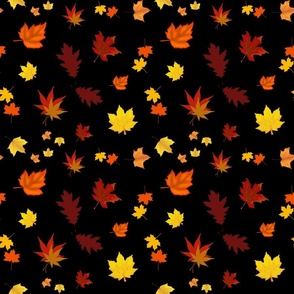 Falling Leaves of Autumn... black, medium