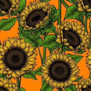 Sunflowers 2