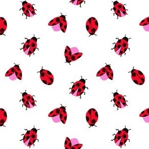 Ladybug Allover