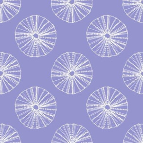 Sea Urchin on Purple