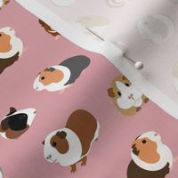 Guinea Pigs on Pink - small scale