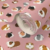 Guinea Pigs on Pink - small scale