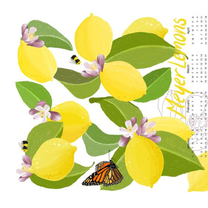 Meyer Lemons Tea Towel 2020 Calendar