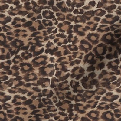 Velvet-y Leopard cheetah