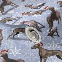 The Christmas Mexican Hairless (Xoloitzcuintle) Xolo Dog