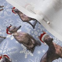 The Christmas Mexican Hairless (Xoloitzcuintle) Xolo Dog