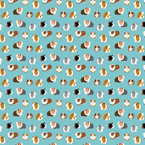 Guinea Pigs on Turquoise - small scale