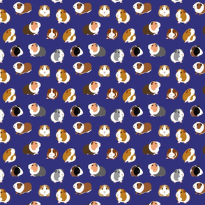 Guinea Pigs on Navy Blue - small scale