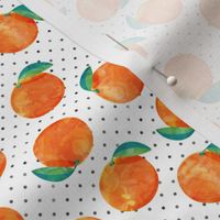 (1" scale) watercolor clementine on polka dots C19BS