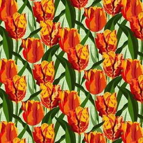 red tulip field - small