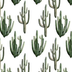 Coral's Cactus Pattern