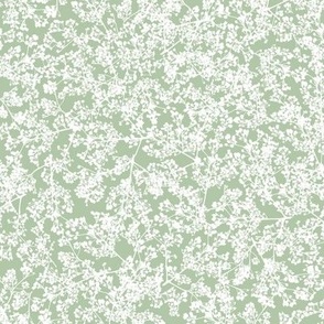 White Yarrow over Medium Sage Green