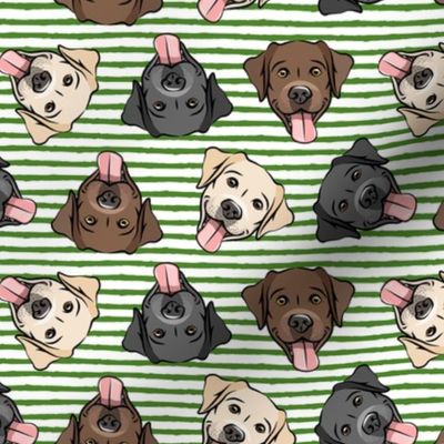 all the labs - cute happy labrador retriever dog breed - green stripes - LAD19