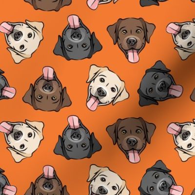 all the labs - cute happy labrador retriever dog breed - orange - LAD19