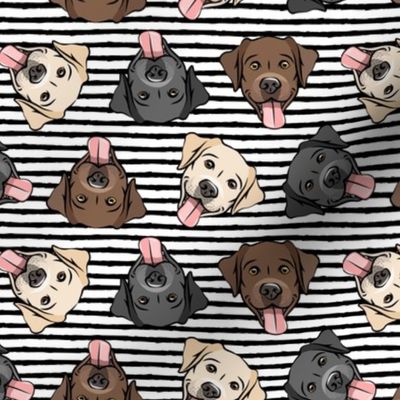 all the labs - cute happy labrador retriever dog breed - black stripes - LAD19