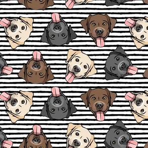 all the labs - cute happy labrador retriever dog breed - black stripes - LAD19