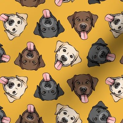all the labs - cute happy labrador retriever dog breed - yellow - LAD19