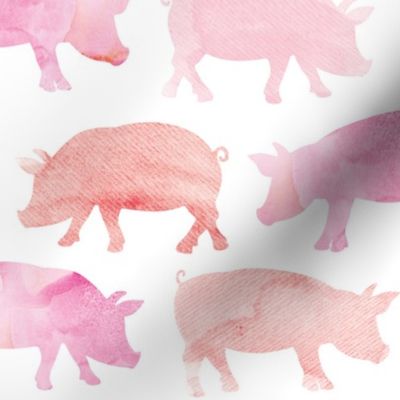 watercolor pigs