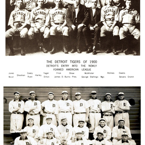 18-22   Detroit Tigers Team Portraits-Vert