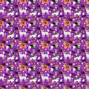 TINY - french bulldog halloween fabric, black and white frenchie, frenchie fabric, cute french bulldog fabric, frenchie halloween design - purple