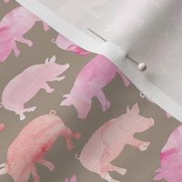small watercolor pigs on mocha