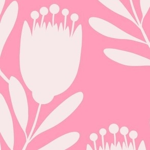 Protea Shadow Pink