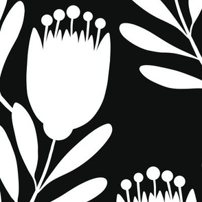 Protea Shadow Black & White