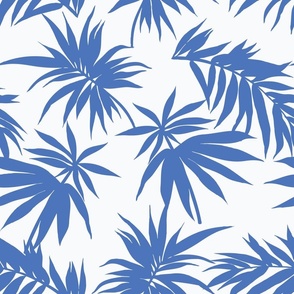 Blue Palm Leaves White Background