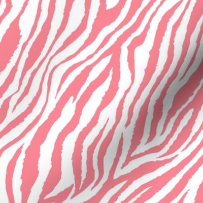 Zebra Pattern Pink Small Scale