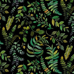 Woodland Ferns and Greens by Angel Gerardo