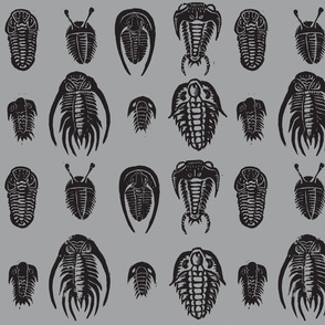 Marching Trilobites