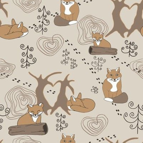 Lovely woodland foxes light brown