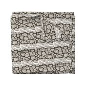 Stone Wall Texture