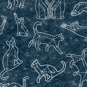 constellation cats midnight sky - large scale