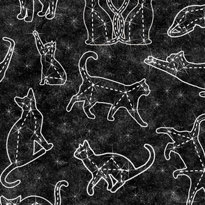 constellation cats  - large scale