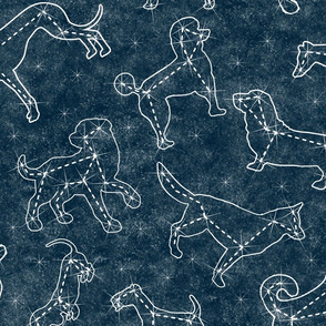constellation dogs midnight blue sky - large scale