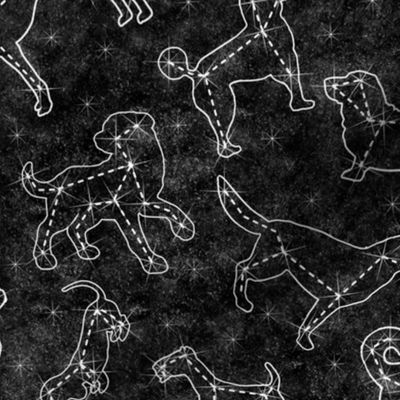 constellation dogs