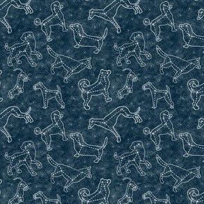 constellation dogs midnight blue sky - small scale