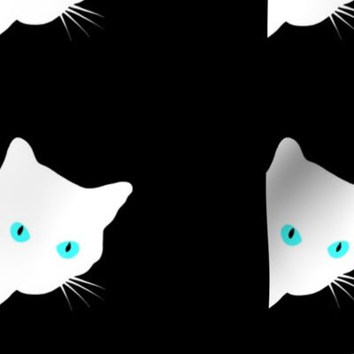 Peek-a-Boo White Cat - blue, turquoise eyes on black