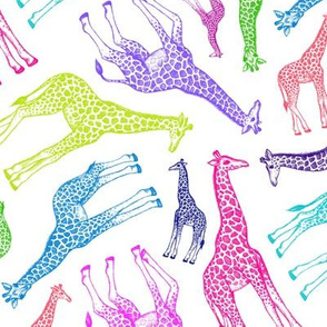 Rainbow Giraffes - medium