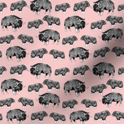 SMALL - musk ox fabric // arctic animal fabric canada alaska greenland - pastel pink