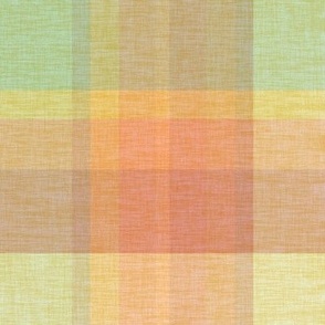 Wheels Palette Plaid