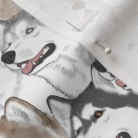 Siberian Husky portrait pack